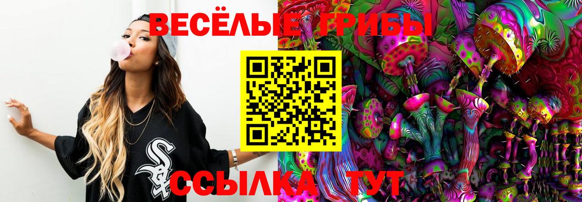 Галлюциногенные грибы мицелий  Вход с VPN  Галлюциногенные грибы GOLDEN TEACHER  Лесной 
